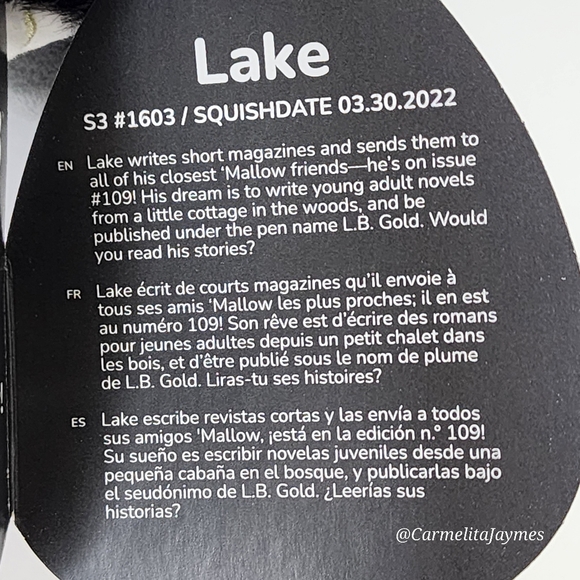 🖤 LAKE 🐃 Black Bull Select Series Clip Original Squishmallow ☆ NWT ☆ - Picture 5 of 9